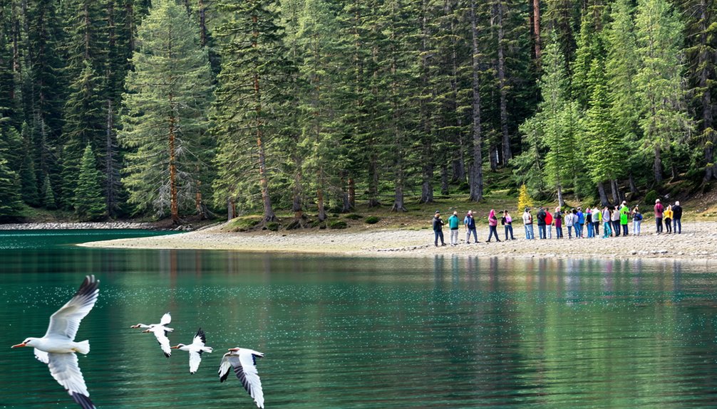community conservation efforts