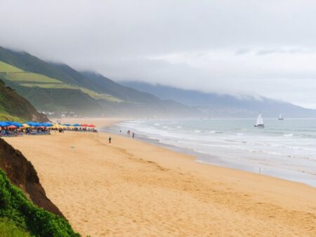Playa Grande De Niebla – Chile