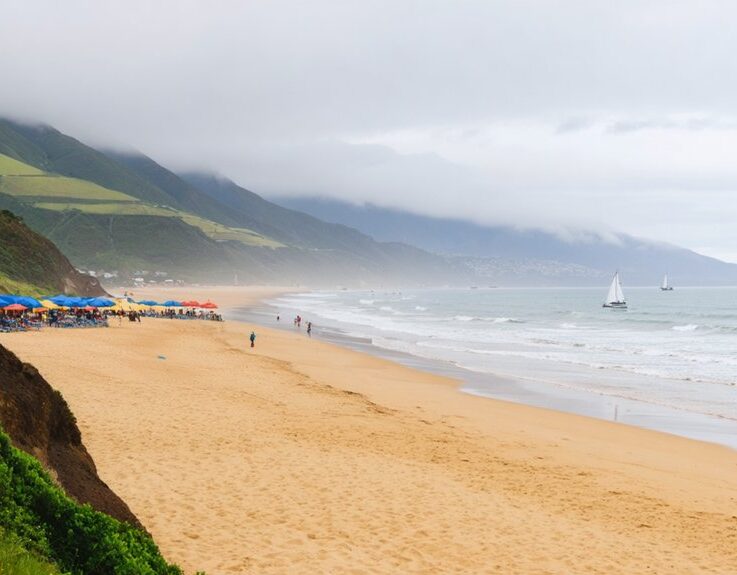 Playa Grande De Niebla – Chile